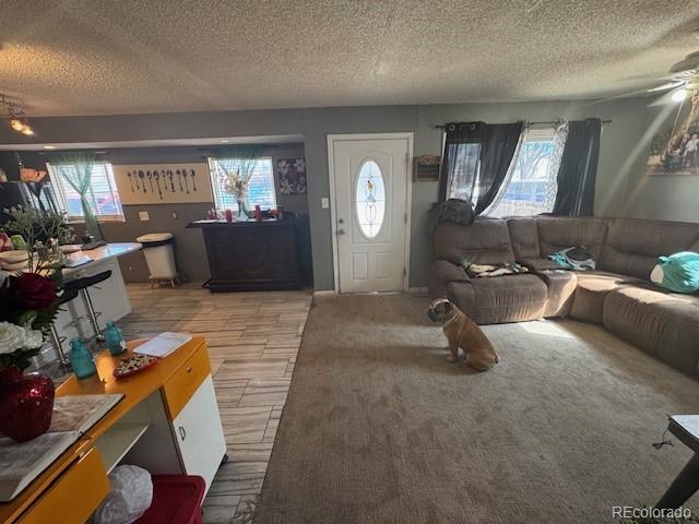 living room featuring a healthy amount of sunlight, a textured ceiling, and a ceiling fan