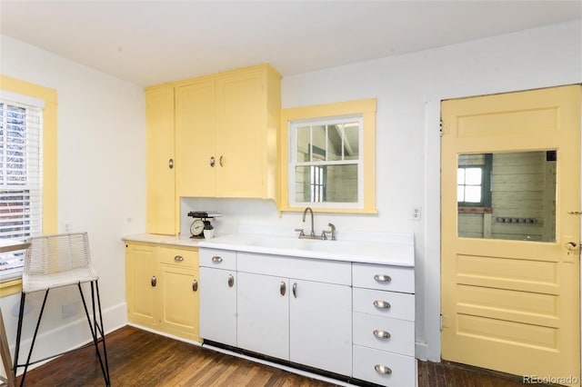 kitchen with dark hardwood / wood-style floors and sink