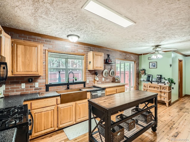 46 Stellar Jay Ln, Evergreen, CO 80439 - photo 7