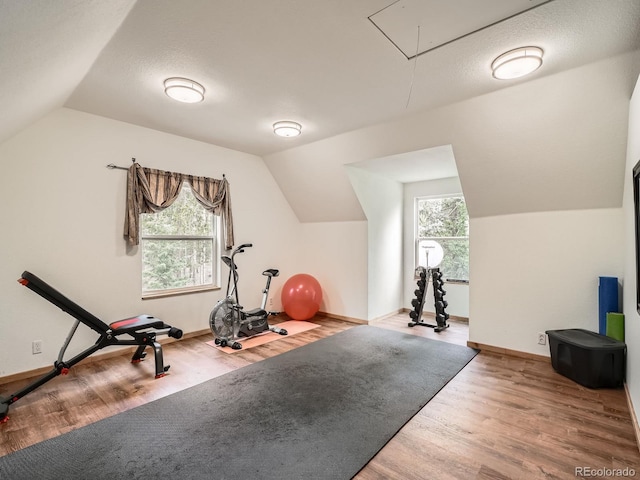 46 Stellar Jay Ln, Evergreen, CO 80439 - photo 20