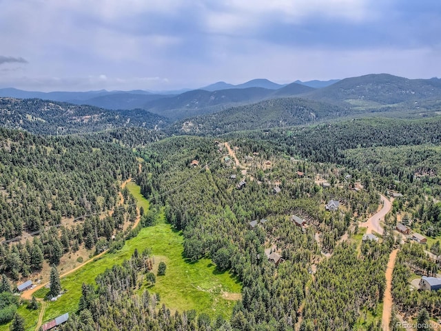 46 Stellar Jay Ln, Evergreen, CO 80439 - photo 30