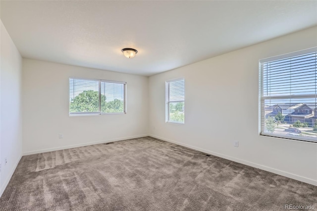 19060 E 54th Pl, Denver, CO 80249 - photo 24