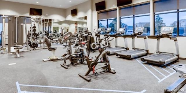 exercise room with a healthy amount of sunlight