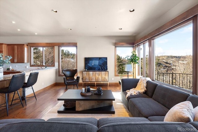 living room featuring light hardwood / wood-style flooring