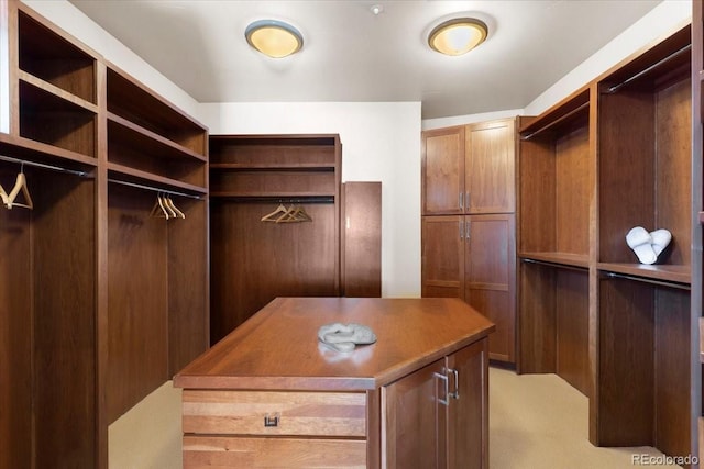 spacious closet with light colored carpet