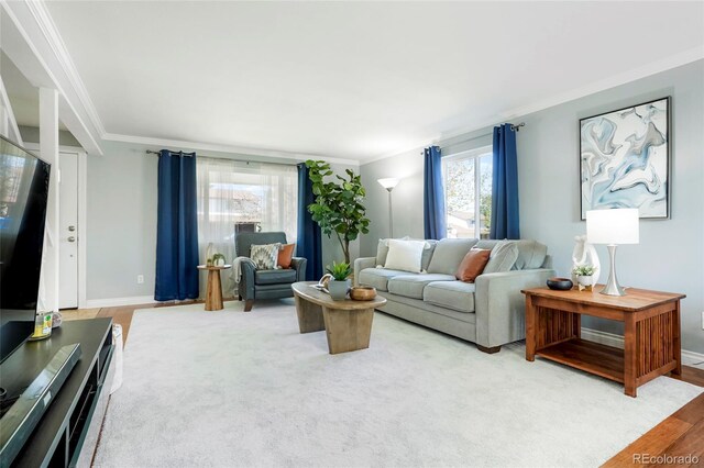 978 Mercury Cir, Lone Tree, CO 80124 - living area featuring crown molding
