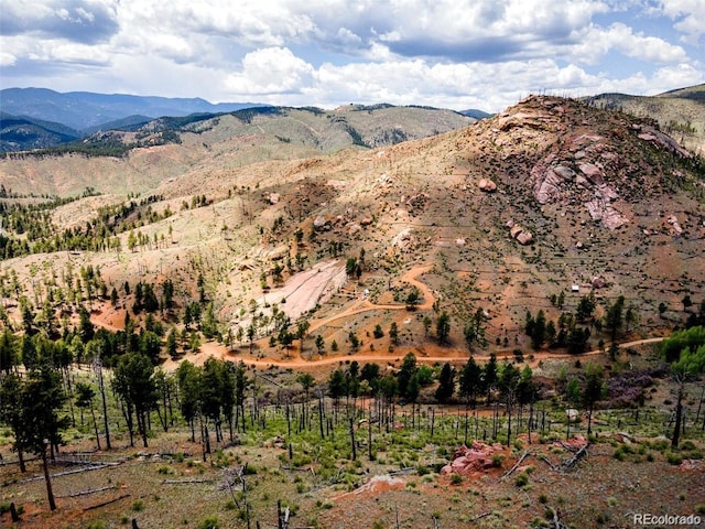 16320 Cochise Trl, Pine, CO 80470 - photo 5