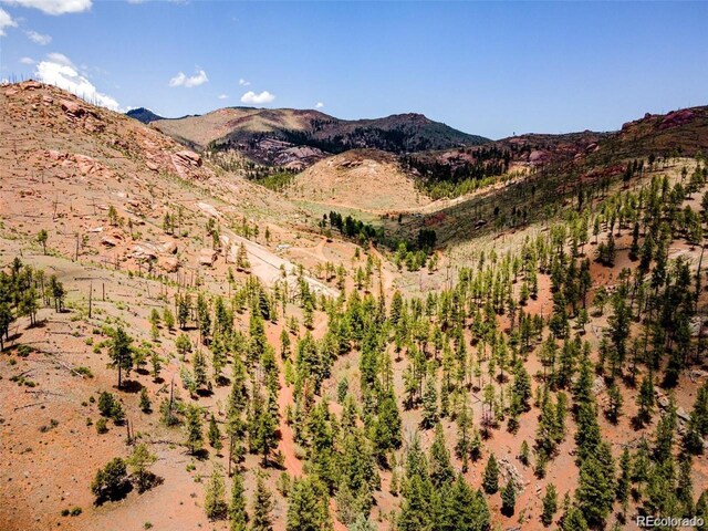 16320 Cochise Trl, Pine, CO 80470 - photo 6