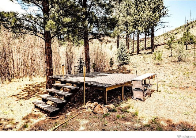 16320 Cochise Trl, Pine, CO 80470 - photo 10