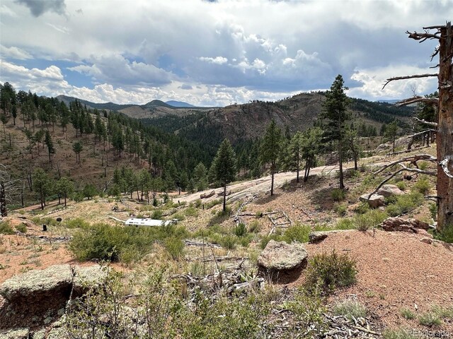16320 Cochise Trl, Pine, CO 80470 - photo 15