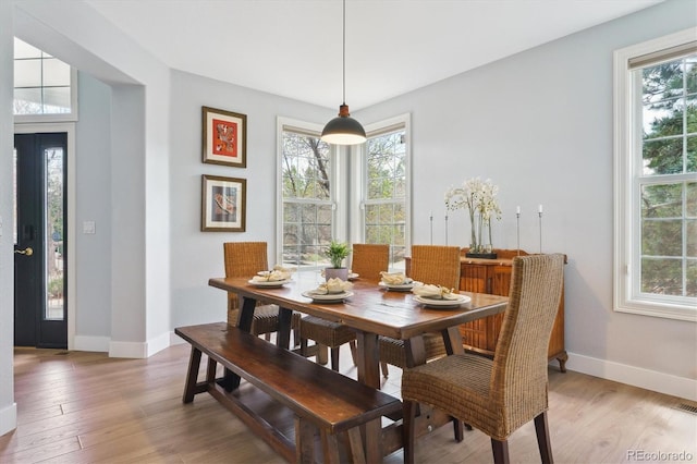 10029 Winterthur Ct, Highlands Ranch, CO 80129 - dining space with a wealth of natural light, baseboards, and light wood-type flooring