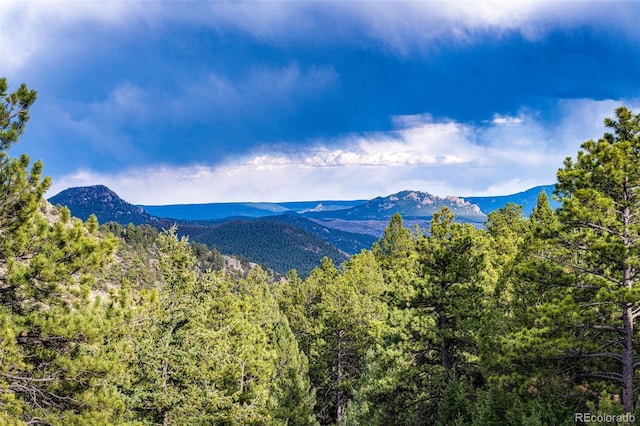14564 Reserve Rd, Pine, CO 80470 - view of mountain background featuring a forest