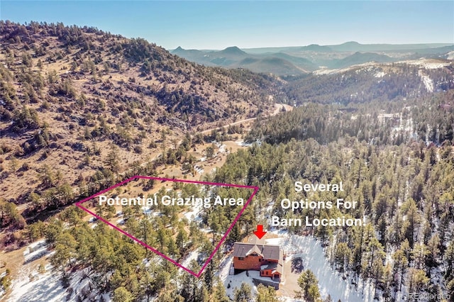 14564 Reserve Rd, Pine, CO 80470 - view of property location with a mountain backdrop and property boundaries highlighted