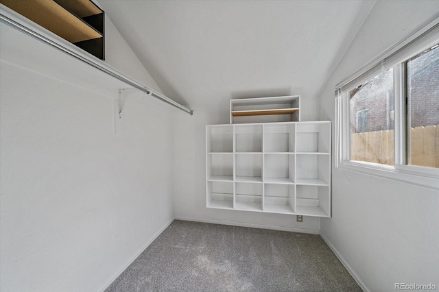 walk in closet featuring carpet and vaulted ceiling