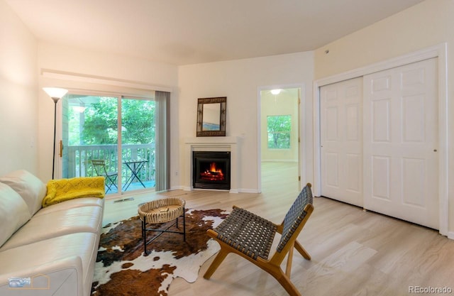2428 W 82nd Pl Unit 3G, Westminster, CO 80031 - living room featuring light wood-style floors and a warm lit fireplace