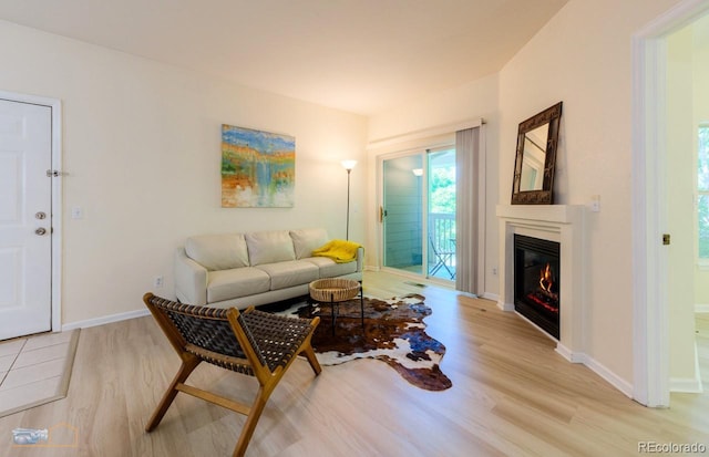 2428 W 82nd Pl Unit 3G, Westminster, CO 80031 - living area featuring light wood finished floors and a glass covered fireplace