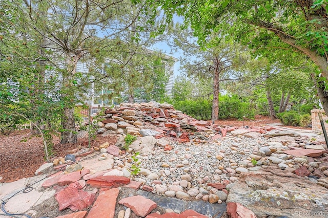 22019 E Arbor Dr, Aurora, CO 80016 - view of undeveloped land