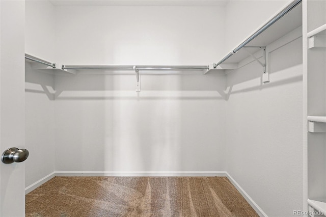 3401 N Denali St, Aurora, CO 80019 - spacious closet featuring carpet flooring
