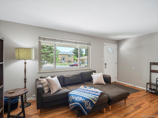 living area featuring wood finished floors and baseboards