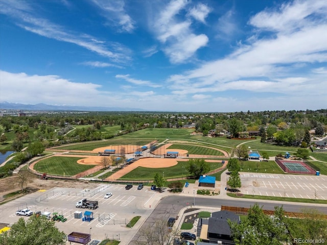 bird's eye view