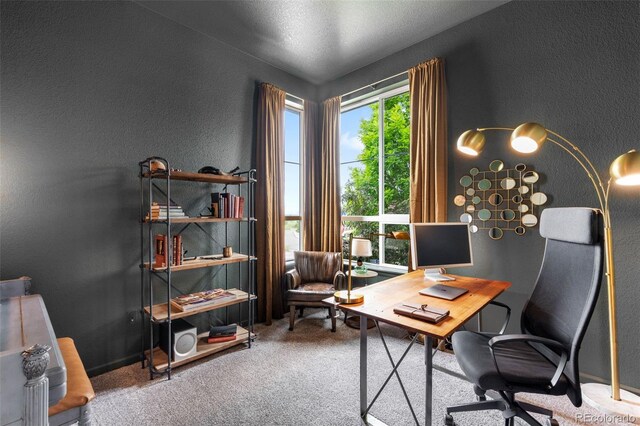 9567 Juniper Way, Arvada, CO 80007 - carpeted home office featuring a textured wall
