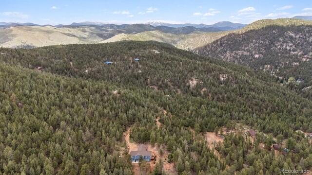 29004 Amerind Springs Trl, Pine, CO 80470 - view of mountain backdrop featuring a heavily wooded area