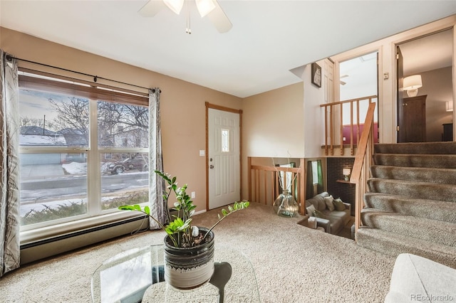 living room with ceiling fan, a baseboard radiator, and carpet