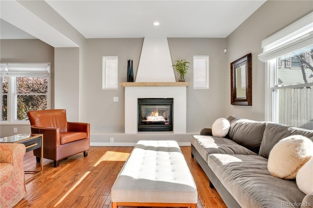 living room with light hardwood / wood-style flooring, a large fireplace, and a healthy amount of sunlight