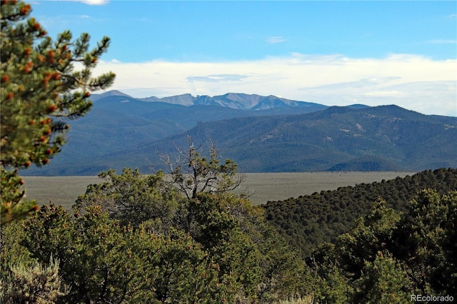 18772 White Tail Cir, San Luis, CO 81152 - photo 4
