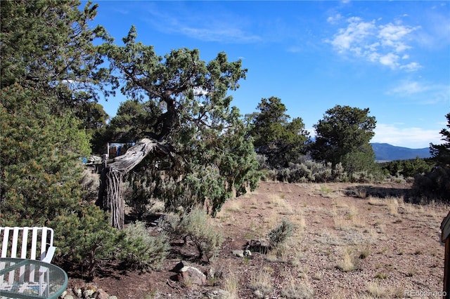 18772 White Tail Cir, San Luis, CO 81152 - photo 19