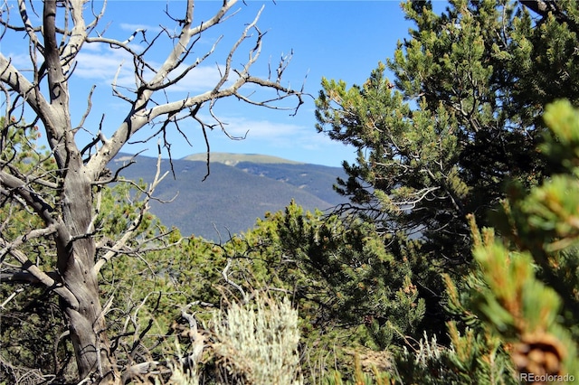 18772 White Tail Cir, San Luis, CO 81152 - photo 22