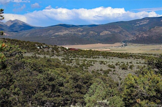 18772 White Tail Cir, San Luis, CO 81152 - photo 24