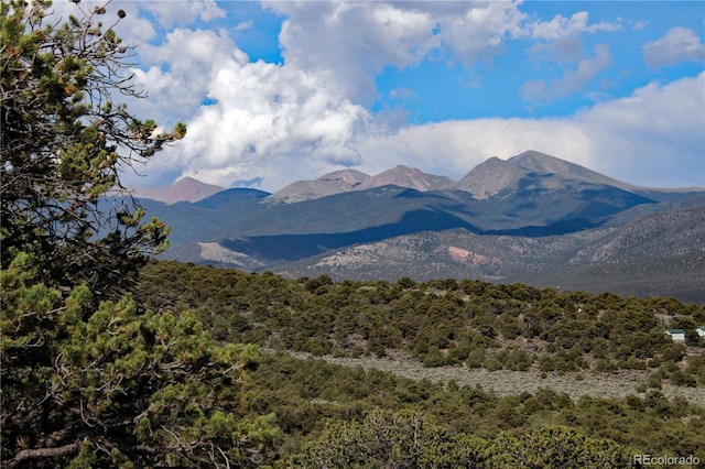 18772 White Tail Cir, San Luis, CO 81152 - photo 25