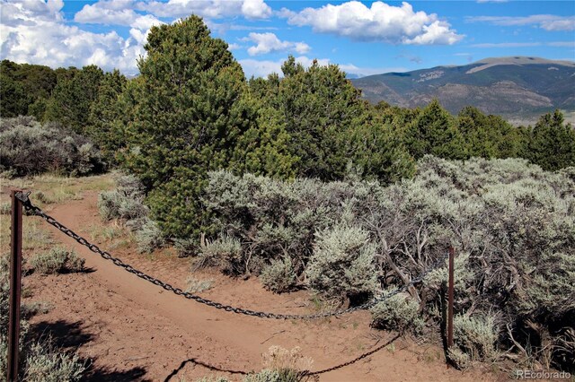 18772 White Tail Cir, San Luis, CO 81152 - photo 34