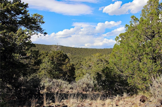 18772 White Tail Cir, San Luis, CO 81152 - photo 21
