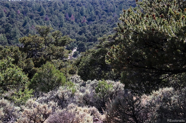 18772 White Tail Cir, San Luis, CO 81152 - photo 28