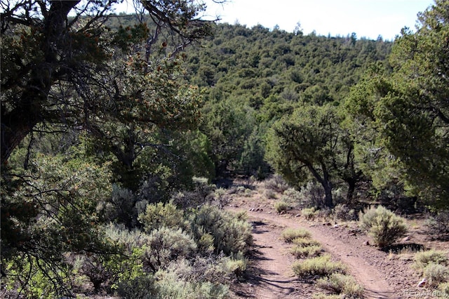 18772 White Tail Cir, San Luis, CO 81152 - photo 29