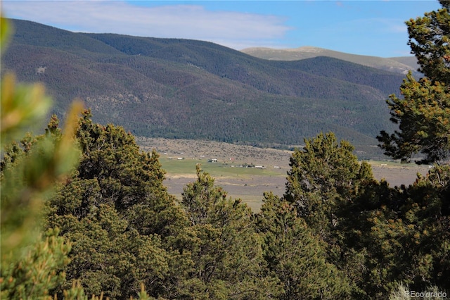 18772 White Tail Cir, San Luis, CO 81152 - photo 32