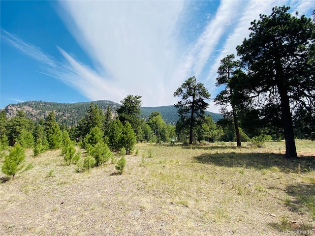 133 Canyon View Dr, Antonito CO, 81120 land for sale