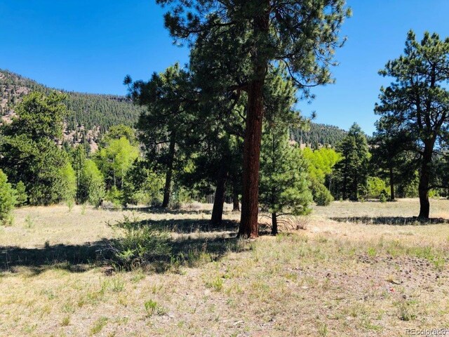 133 Canyon View Dr, Antonito, CO 81120 - photo 4