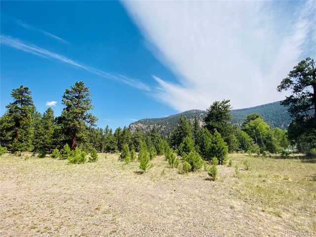 133 Canyon View Dr, Antonito, CO 81120 - photo 5