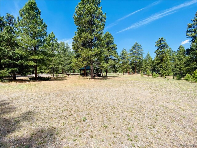 133 Canyon View Dr, Antonito, CO 81120 - photo 6