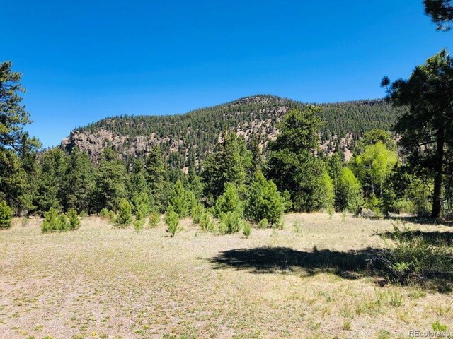 133 Canyon View Dr, Antonito, CO 81120 - photo 7