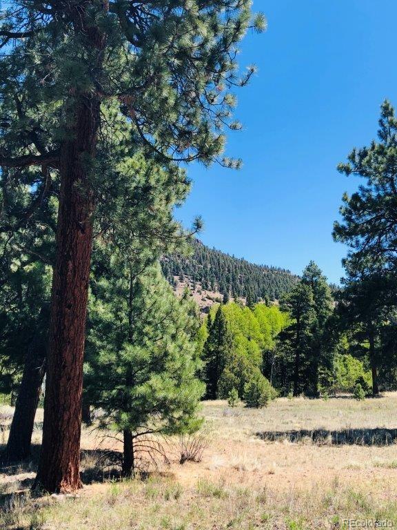 133 Canyon View Dr, Antonito, CO 81120 - photo 8