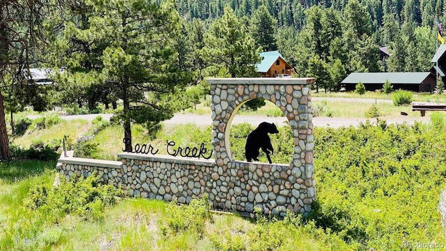 133 Canyon View Dr, Antonito, CO 81120 - photo 12