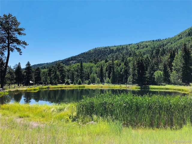 133 Canyon View Dr, Antonito, CO 81120 - photo 14
