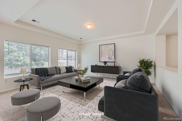 4414 Walden St, Denver, CO 80249 - living area featuring a raised ceiling and carpet floors