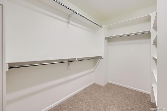 4414 Walden St, Denver, CO 80249 - spacious closet featuring carpet flooring