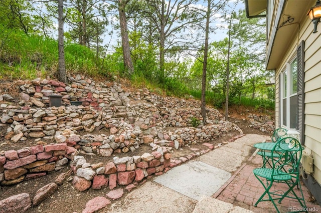 404 Raspberry Ln, Monument, CO 80132 - view of patio