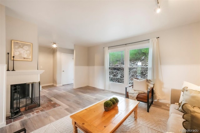 404 Raspberry Ln, Monument, CO 80132 - living room featuring light wood-type flooring, rail lighting, a glass covered fireplace, and baseboards